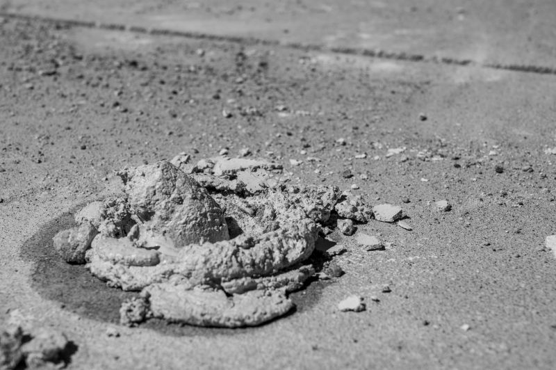 Preparing for Seasonal Changes